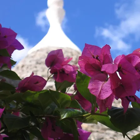 Διαμέρισμα In Puglia *